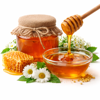 WILD FOREST HONEY